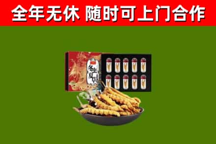 烟台烟酒回收冬虫夏草礼盒.jpg